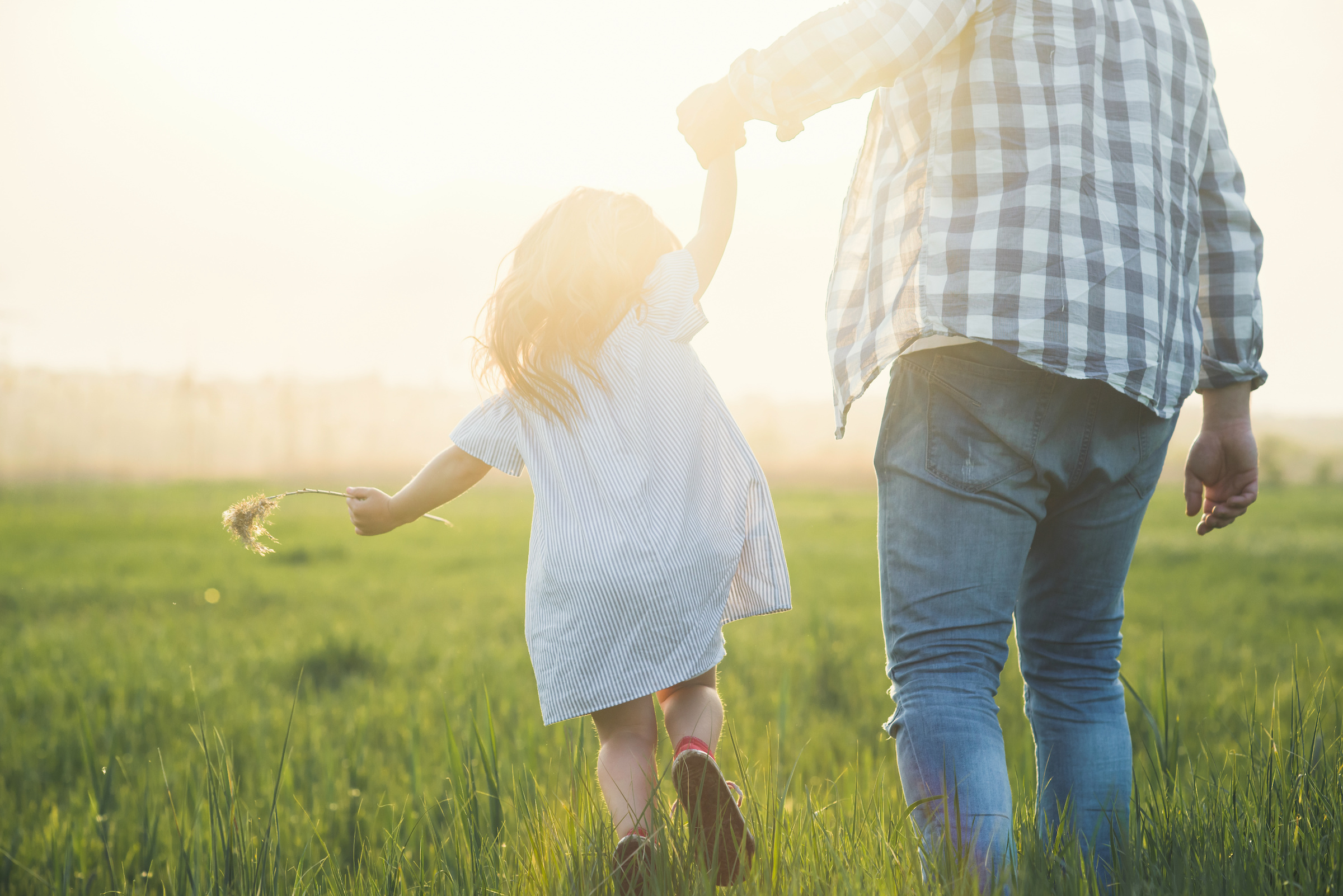 A photo of a father and his young daughter walking through a field together holding hands.